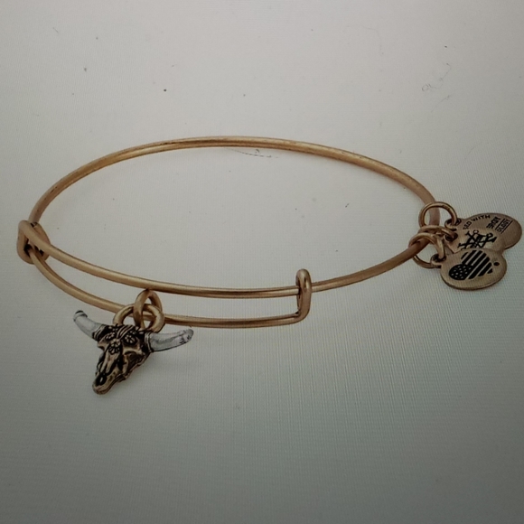 Alex and Ani Jewelry - Alex and Ani Spirited Skull Charm